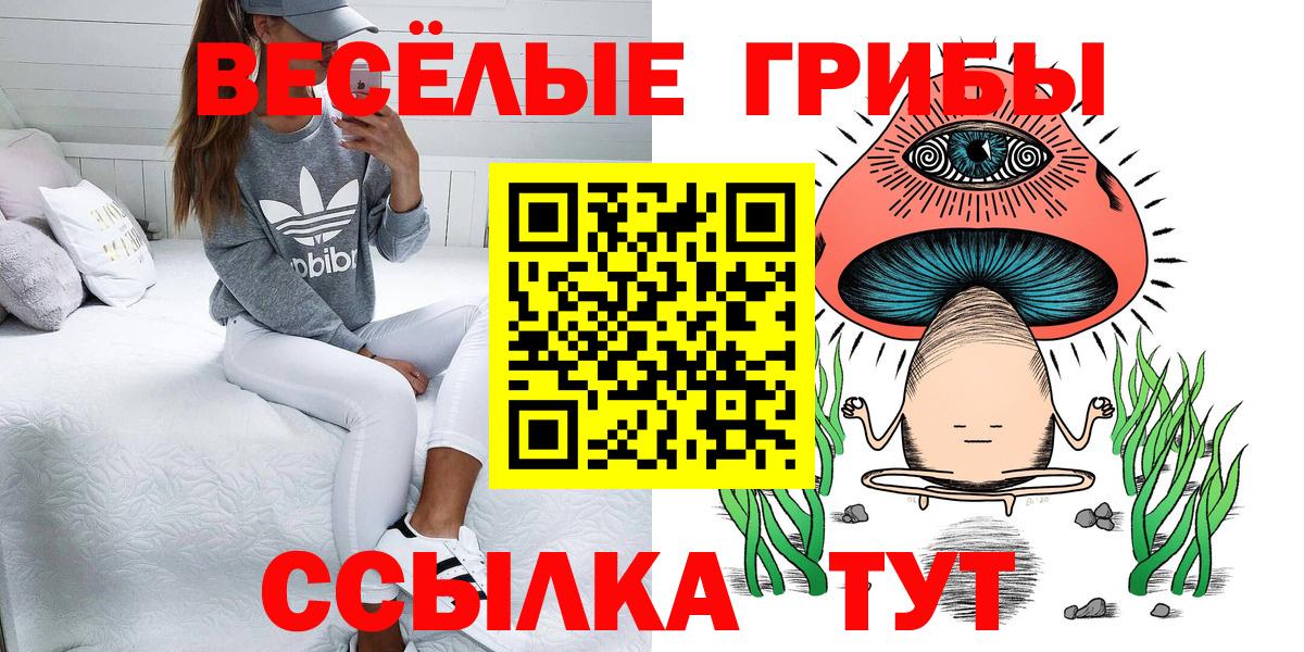 Галлюциногенные грибы MAGIC MUSHROOMS  Галлюциногенные грибы GOLDEN TEACHER  Ивантеевка  Вход с VPN 