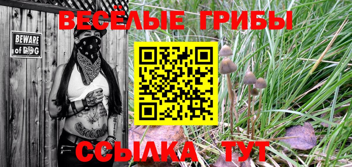 Псилоцибиновые грибы Cubensis Ивантеевка